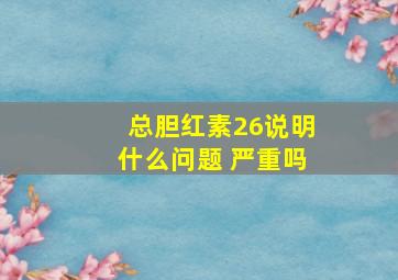 总胆红素26说明什么问题 严重吗